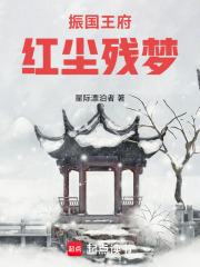 振国王府，红尘残梦在线阅读