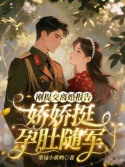 刚提交离婚报告，娇娇挺孕肚随军在线阅读