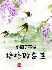 小燕子不做格格做岛主在线阅读