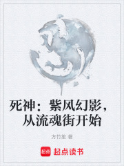 死神：紫风幻影，从流魂街开始在线阅读