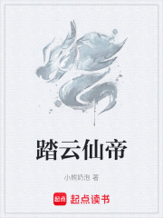 踏云仙帝