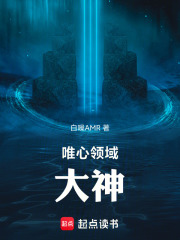 唯心领域大神