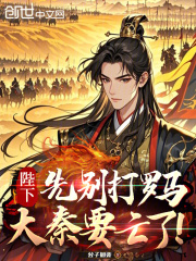 陛下，先别打罗马，大秦要亡了！在线阅读