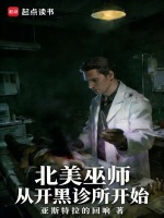 北美巫师，从开黑诊所开始封面