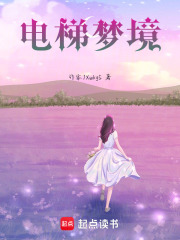 电梯梦境在线阅读