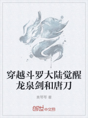 穿越斗罗大陆觉醒龙泉剑和唐刀