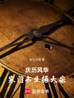 庆历风华：寒门书生振大宋封面