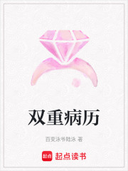 双重病历在线阅读