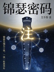 锦瑟密码在线阅读