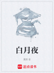 白月夜在线阅读