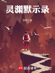 灵渊默示录在线阅读