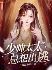 少帅太太总想出逃在线阅读