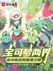 宝可梦两界：从小饭店到联盟之巅