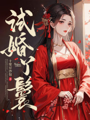 试婚丫鬟