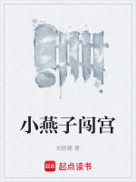 小燕子闯宫封面