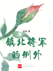 镇北将军的例外在线阅读