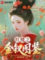 红楼之金钗图鉴