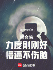 四合院：力度刚刚好，懵逼不伤脑在线阅读