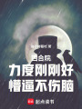 四合院：力度刚刚好，懵逼不伤脑在线阅读