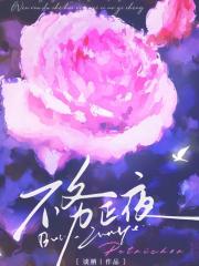 不务正夜在线阅读