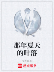 那年夏天的叶落在线阅读
