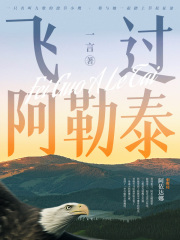 飞过阿勒泰在线阅读