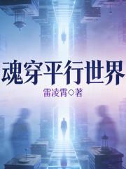 魂穿，平行世界在线阅读