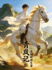 青岚记在线阅读