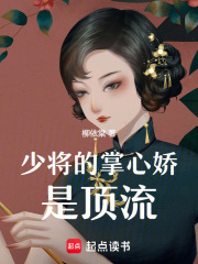 少帅的掌心娇是顶流在线阅读