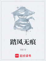 踏风无痕封面