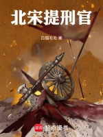 北宋提刑官封面