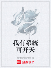 我有系统可开天在线阅读