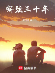 断弦三十年在线阅读