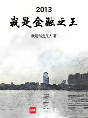 2013：我是金融之王