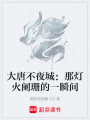 大唐不夜城：那灯火阑珊的一瞬间在线阅读