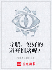 导航，说好的避开拥堵呢？在线阅读