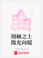 荆棘之上微光向暖在线阅读