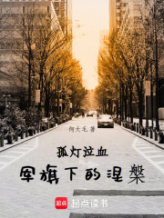 孤灯泣血，军旗下的涅槃在线阅读
