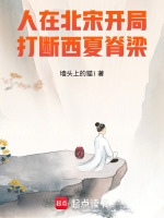 人在北宋，开局打断西夏脊梁！在线阅读