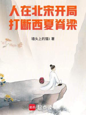 Nhân Tại Bắc Tống, Khai Cục Đả Đoạn Tây Hạ Tích Lương!