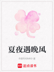 夏夜遇晚风在线阅读