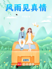 风雨见真情在线阅读