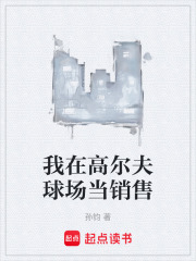 我在高尔夫球场当销售在线阅读