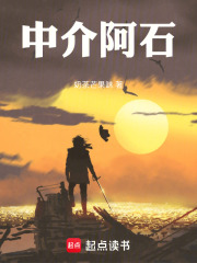 中介阿石在线阅读