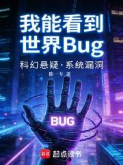 我能看到世界Bug
