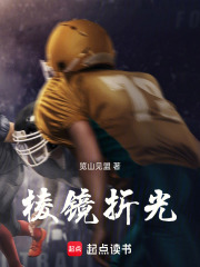 棱镜折光在线阅读