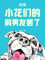 华娱：小花们的前男友罢了在线阅读