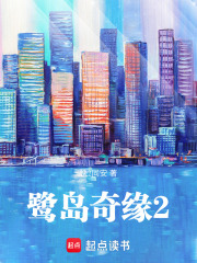 鹭岛奇缘2