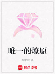 唯一的燎原在线阅读