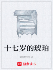 十七岁的琥珀在线阅读